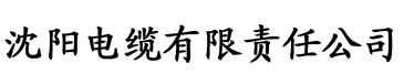 蕾丝阁影视电缆厂logo